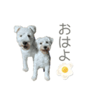 クゥウル3（個別スタンプ：1）