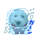 クゥウル3（個別スタンプ：6）