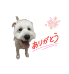 クゥウル3（個別スタンプ：7）