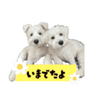 クゥウル3（個別スタンプ：9）