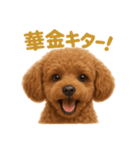 週末だ！トイプードルのご褒美スタンプ（個別スタンプ：1）