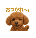 週末だ！トイプードルのご褒美スタンプ（個別スタンプ：4）