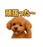 週末だ！トイプードルのご褒美スタンプ（個別スタンプ：8）