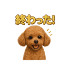 週末だ！トイプードルのご褒美スタンプ（個別スタンプ：11）