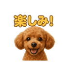週末だ！トイプードルのご褒美スタンプ（個別スタンプ：13）