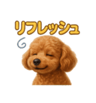 週末だ！トイプードルのご褒美スタンプ（個別スタンプ：14）