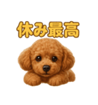 週末だ！トイプードルのご褒美スタンプ（個別スタンプ：15）