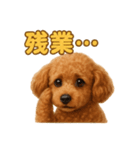 週末だ！トイプードルのご褒美スタンプ（個別スタンプ：16）