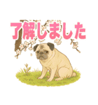 可愛らしいパグのスタンプ5（個別スタンプ：2）