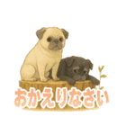 可愛らしいパグのスタンプ5（個別スタンプ：10）