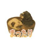 可愛らしいパグのスタンプ5（個別スタンプ：31）