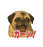 可愛らしいパグのスタンプ5（個別スタンプ：40）