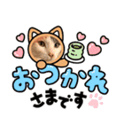 ウチの猫、空＆詩で作ったスタンプです‼️（個別スタンプ：11）