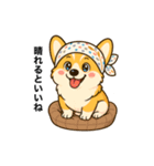 コーギーまいまい その9（個別スタンプ：1）
