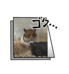 みーぴーぼたん（個別スタンプ：2）