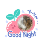 みーぴーぼたん（個別スタンプ：3）