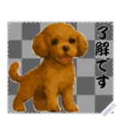 犬の メッセージ スタンプ 72（個別スタンプ：3）
