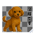 犬の メッセージ スタンプ 72（個別スタンプ：7）