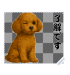 犬の メッセージ スタンプ 72（個別スタンプ：9）