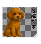犬の メッセージ スタンプ 72（個別スタンプ：10）