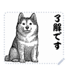 犬の メッセージ スタンプ 12（個別スタンプ：1）