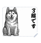 犬の メッセージ スタンプ 12（個別スタンプ：2）