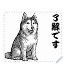 犬の メッセージ スタンプ 12（個別スタンプ：3）