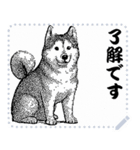 犬の メッセージ スタンプ 12（個別スタンプ：4）