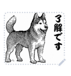 犬の メッセージ スタンプ 12（個別スタンプ：5）