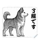 犬の メッセージ スタンプ 12（個別スタンプ：6）