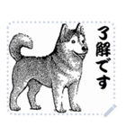 犬の メッセージ スタンプ 12（個別スタンプ：7）