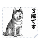 犬の メッセージ スタンプ 12（個別スタンプ：8）