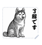 犬の メッセージ スタンプ 12（個別スタンプ：9）