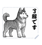 犬の メッセージ スタンプ 12（個別スタンプ：10）
