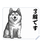 犬の メッセージ スタンプ 12（個別スタンプ：11）