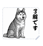 犬の メッセージ スタンプ 12（個別スタンプ：12）