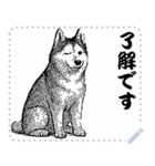 犬の メッセージ スタンプ 12（個別スタンプ：13）