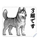 犬の メッセージ スタンプ 12（個別スタンプ：14）