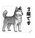 犬の メッセージ スタンプ 12（個別スタンプ：15）