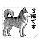 犬の メッセージ スタンプ 12（個別スタンプ：16）