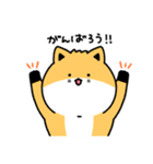 ウコンの日常（個別スタンプ：2）