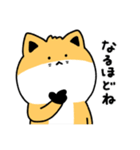 ウコンの日常（個別スタンプ：19）