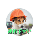 小型犬ジャックラッセルテリア社内編（個別スタンプ：2）