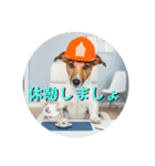 小型犬ジャックラッセルテリア社内編（個別スタンプ：13）