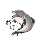鮭たちのまいにち（個別スタンプ：1）