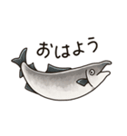 鮭たちのまいにち（個別スタンプ：9）