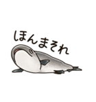 鮭たちのまいにち（個別スタンプ：13）
