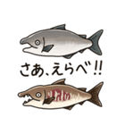 鮭たちのまいにち（個別スタンプ：35）