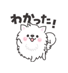 白くてふわふわのわんこ（待ち合わせ）（個別スタンプ：1）