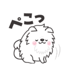 白くてふわふわのわんこ（待ち合わせ）（個別スタンプ：2）